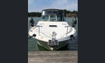 Sea Ray 310 Sundancer-kuva-18
